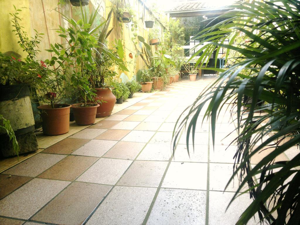 Pousada Flor Amarela Balneário Camboriú Exteriér fotografie
